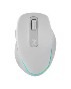 Mouse PERFECT CHOICE PC-044901