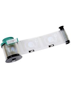 Cinta EVOLIS LPS033NAA