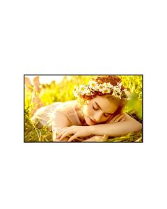 Monitor Profesional LG 75UL3Q MONLGE3360