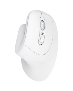 Mouse PERFECT CHOICE PC-045205 MOUMST1830